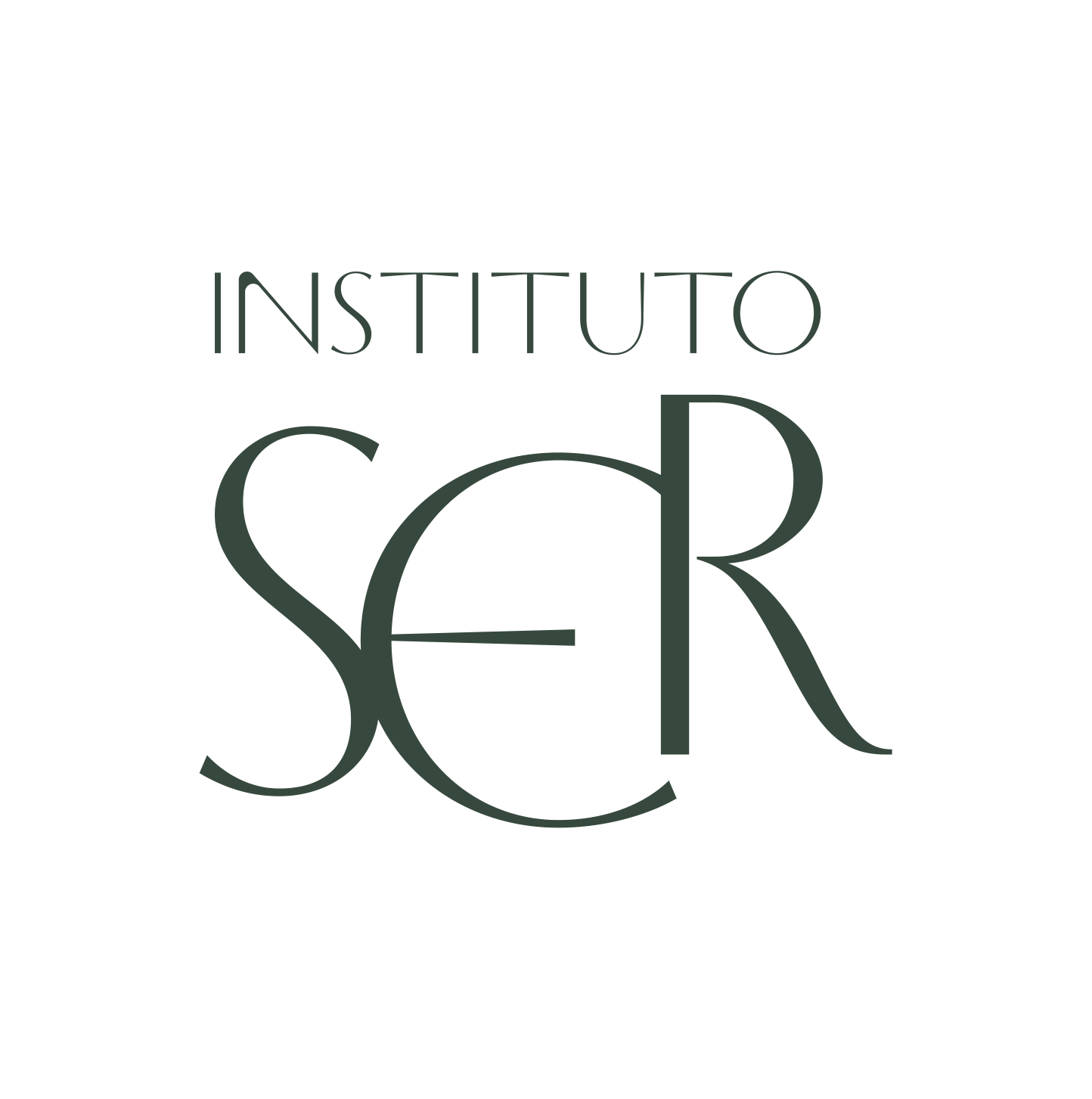 Instituto SER